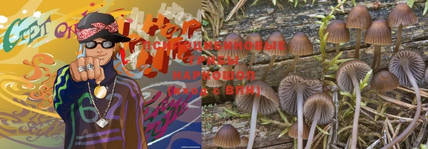 каннабис Баксан