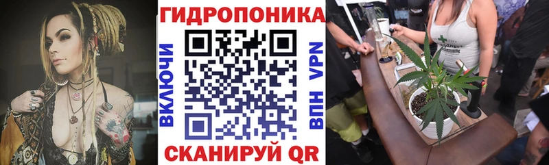 цены   Куса  Бошки марихуана сатива 
